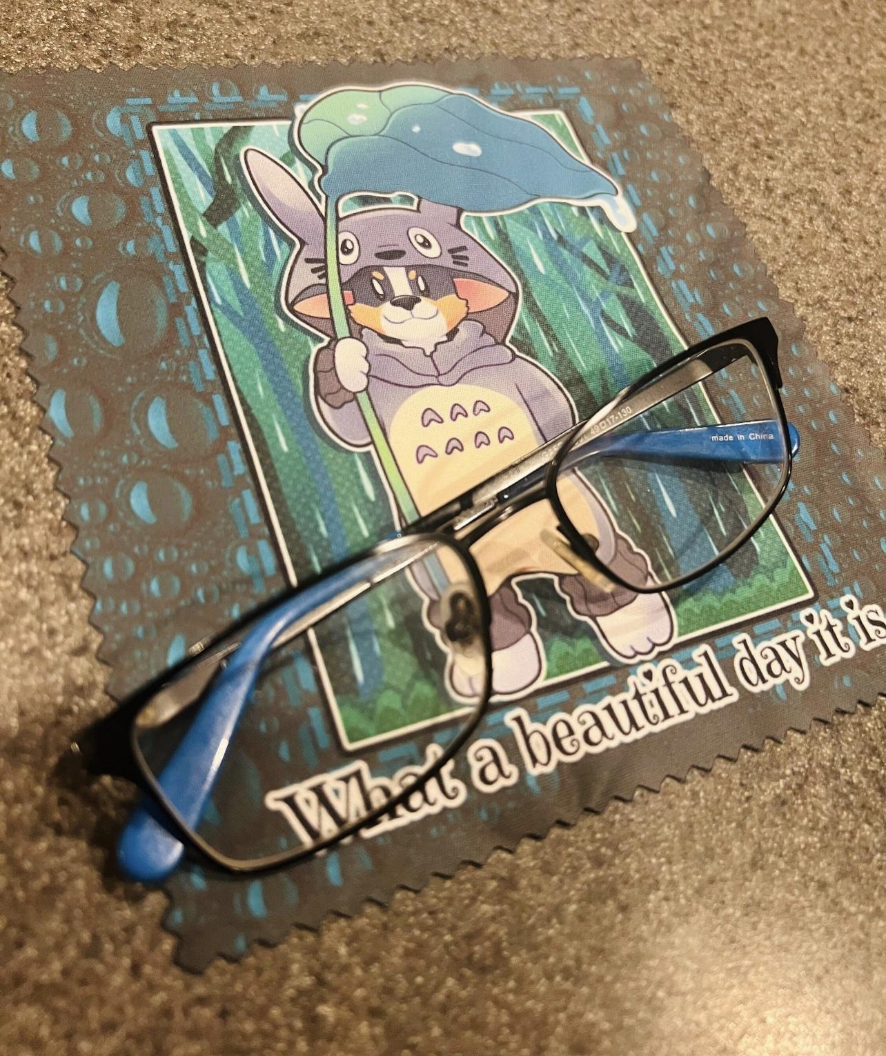 Totoro Glasses Cleaning Cloth